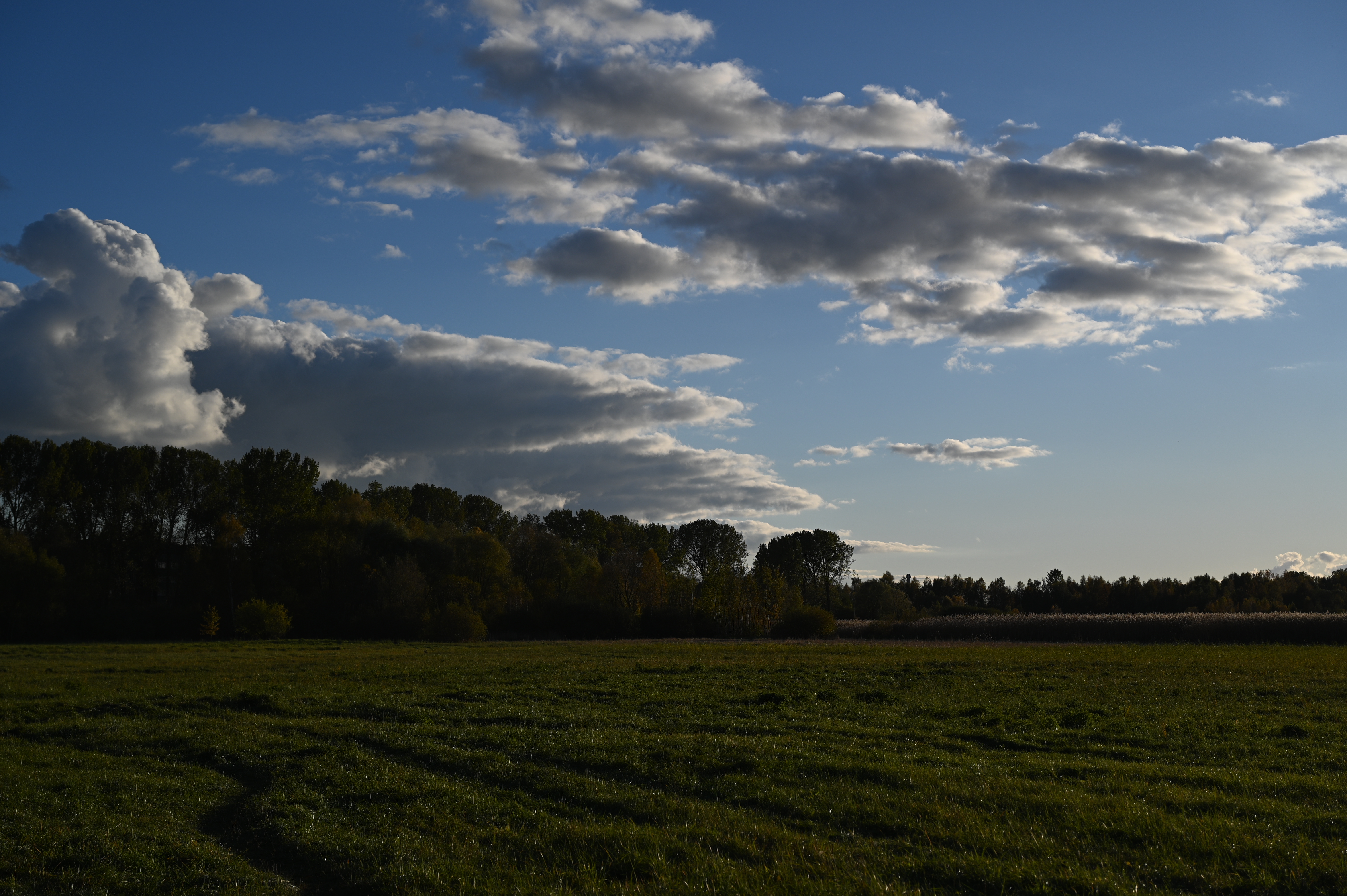 2025/10/18 - walk/DSC_0161.JPG